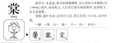 棠字取名|棠字取名的含义是什么